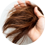 頭髮變得乾早易斷